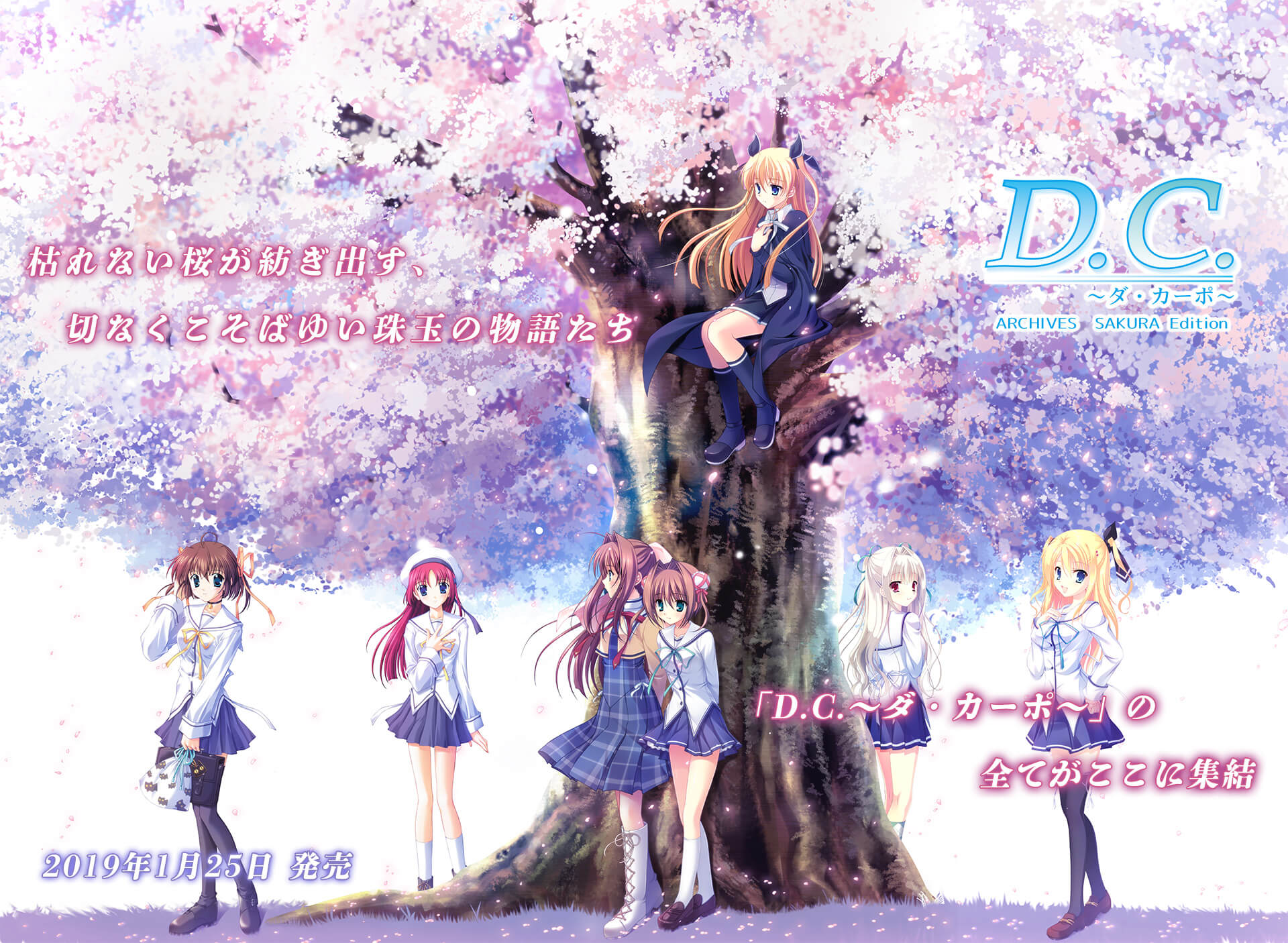 D C ダ カーポ アーカイブス Sakura Edition