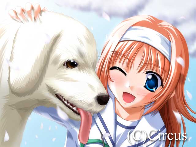 D．C．～ダカーポ～ キャラクター 天枷 美春